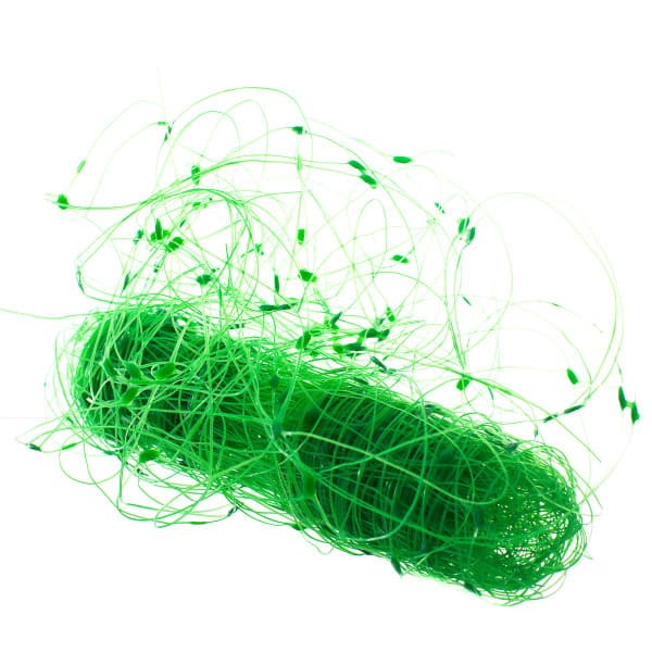 Plasa pentru Castraveti