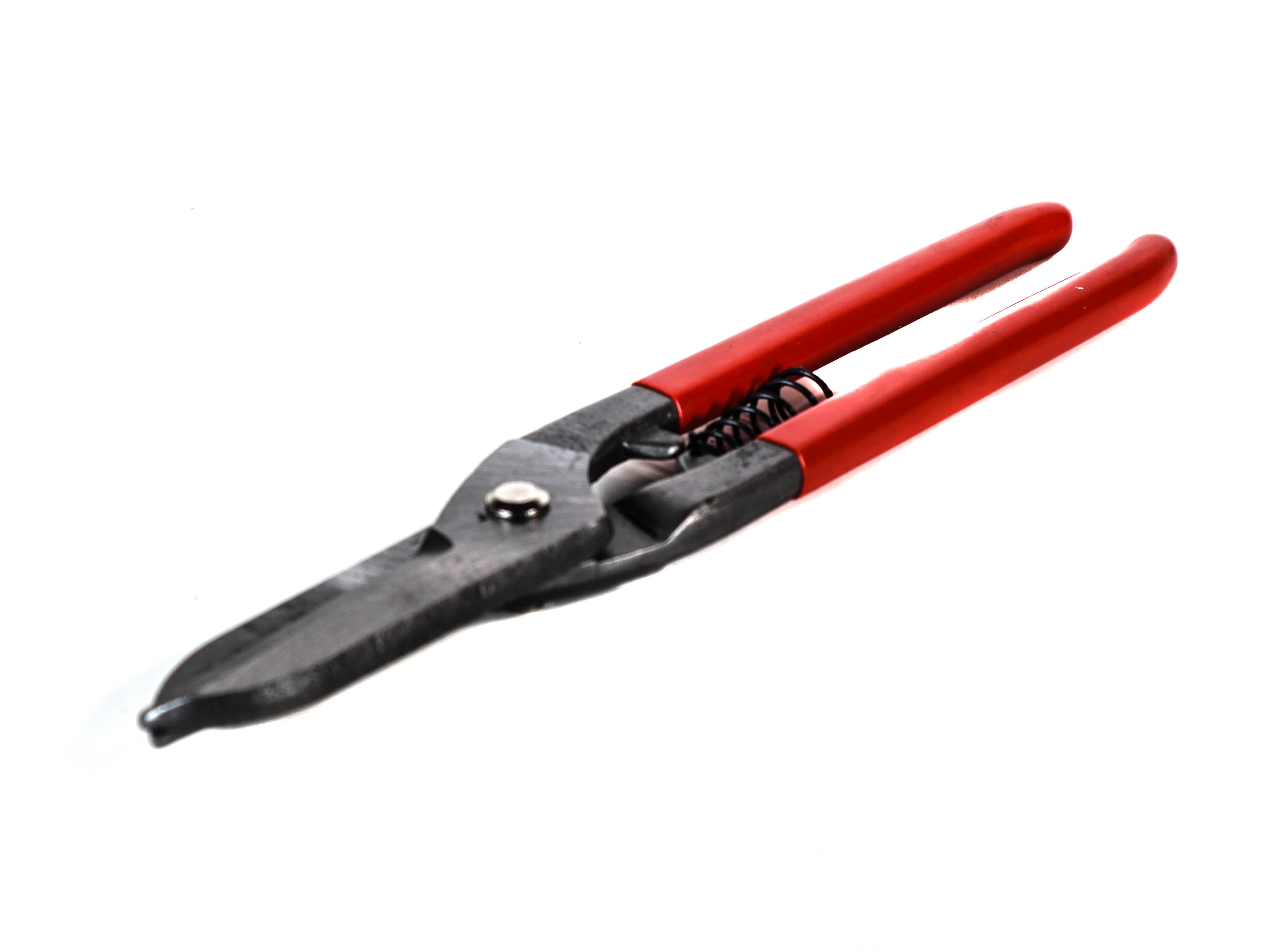 Cleste pentru Sarma Freed