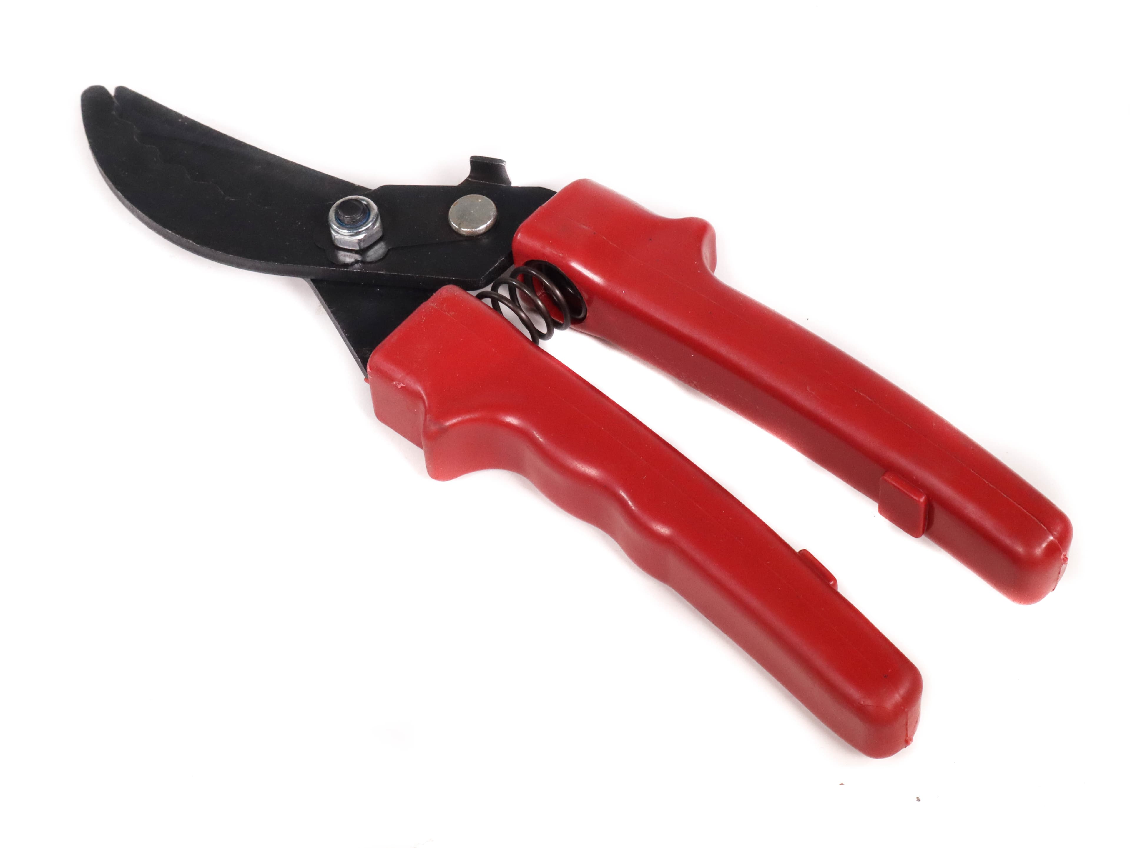 Foarfeca pentru Vie Ruseasca