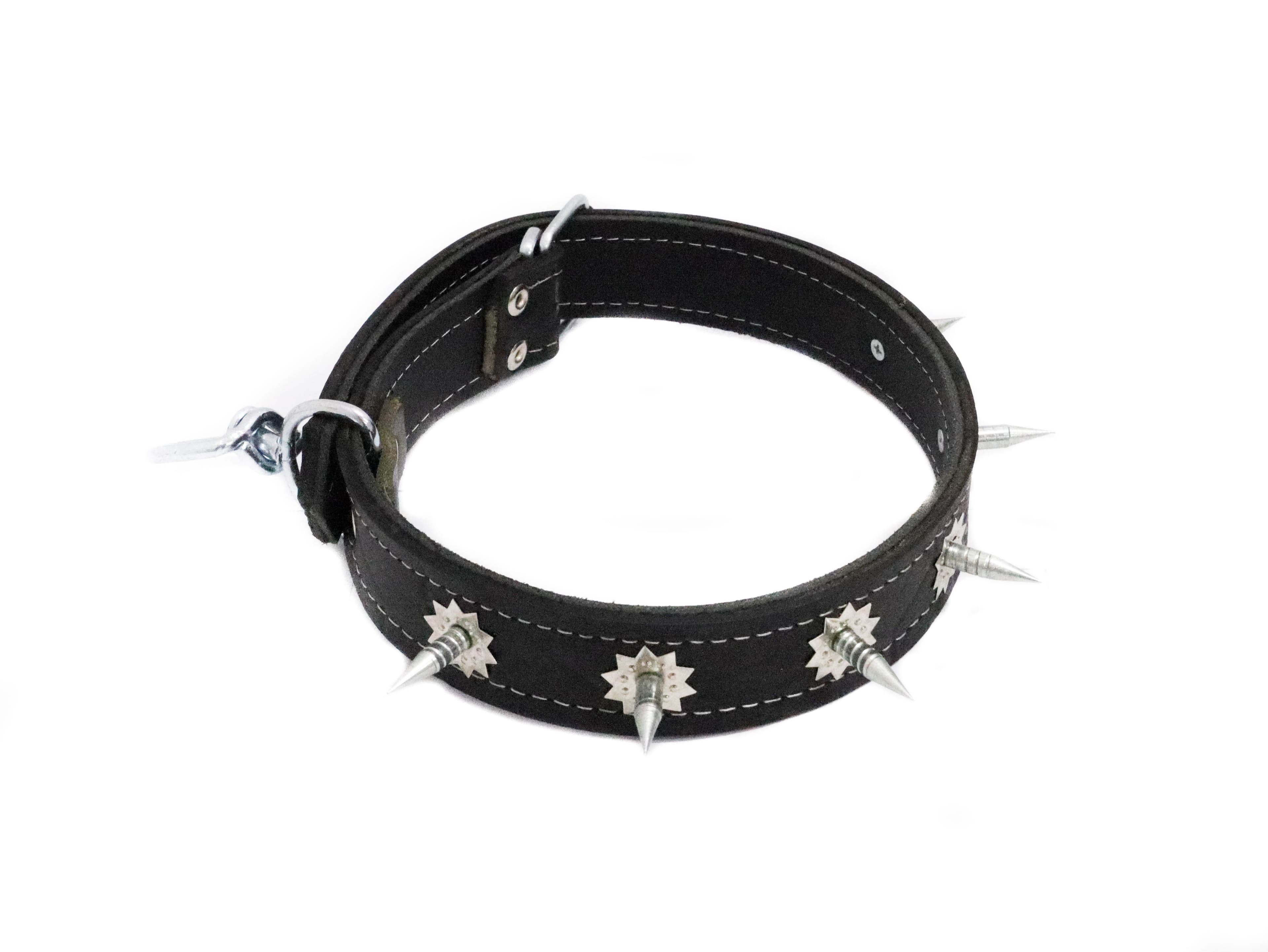 Curea Dubla Piele +Vartej+tepi pt.Caine 4x70cm