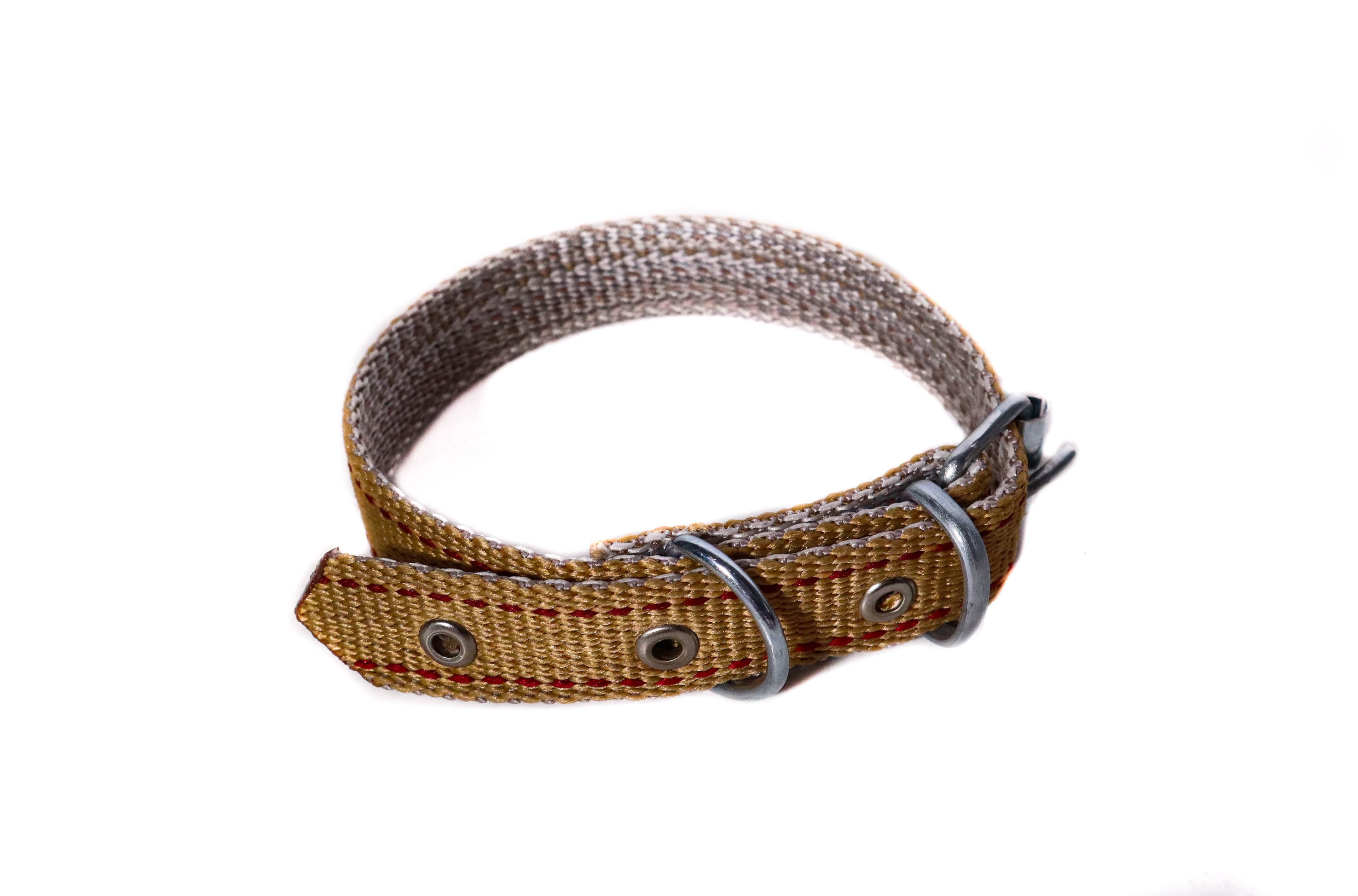 Curea textil pt caine 2.5x50 cm