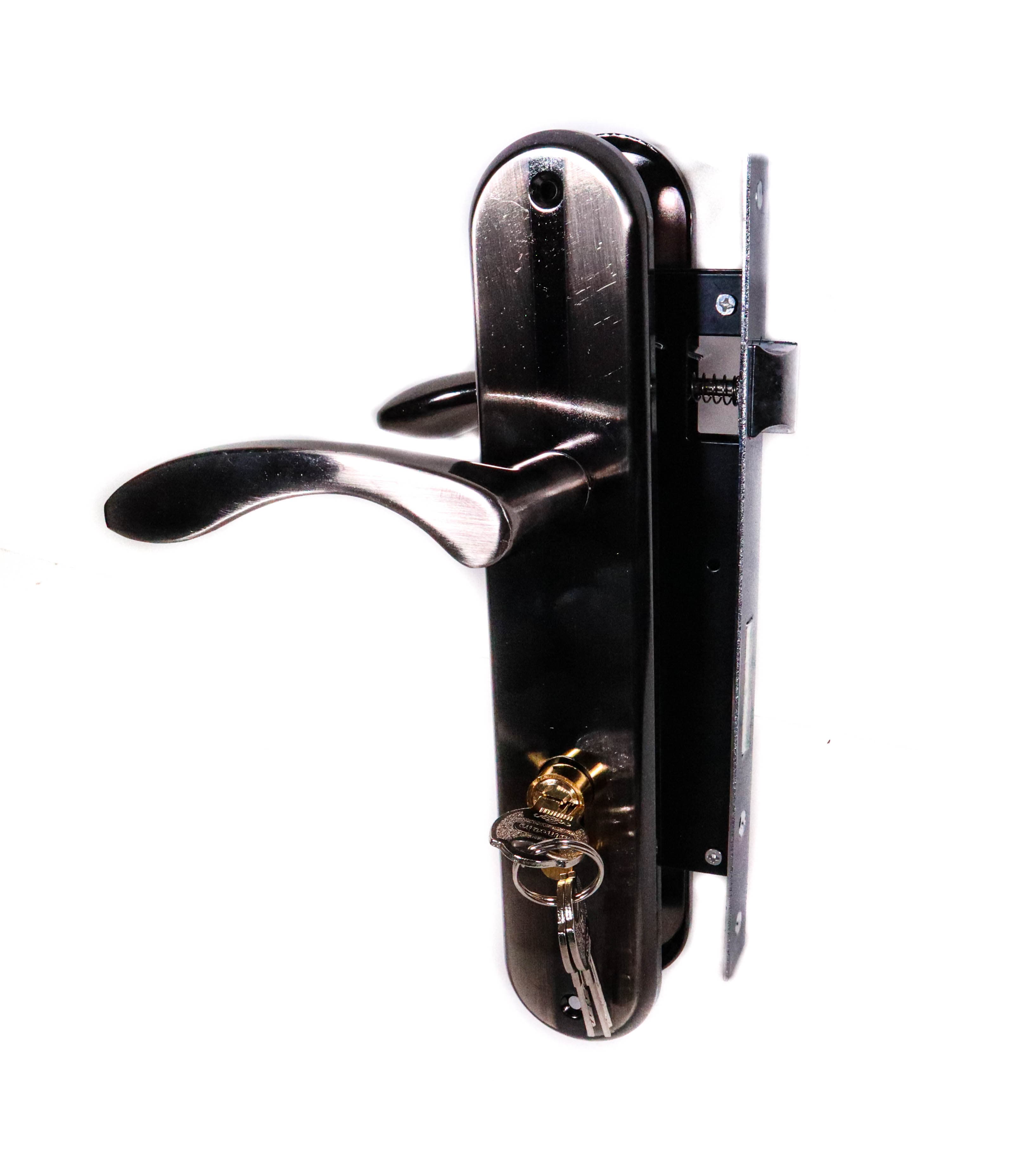 Broasca Yala mare L275H93BN