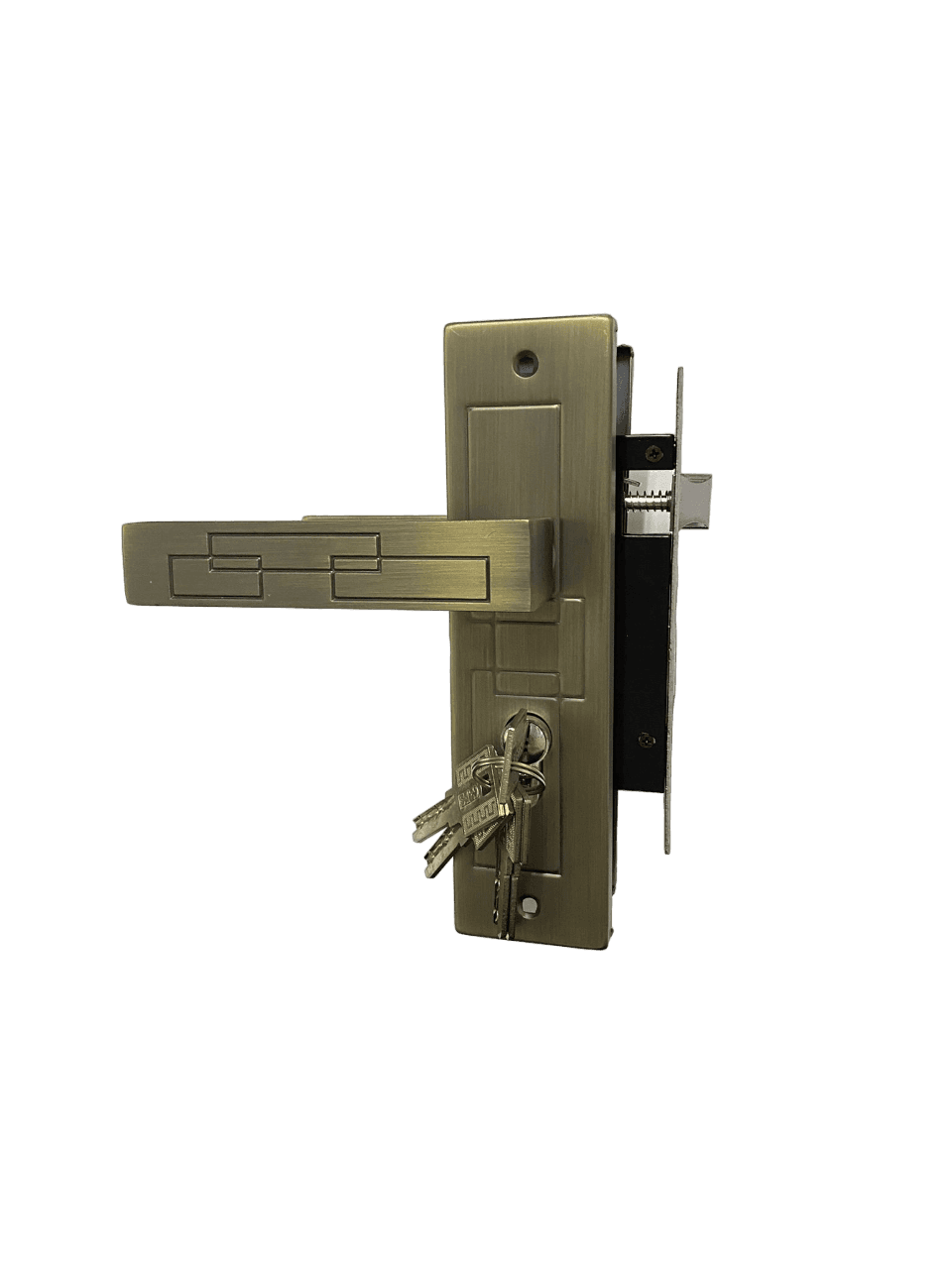 Broasca Yala Mica G.J.S