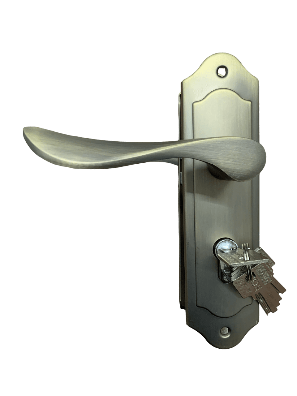 Broasca Yala Mica G.J.S