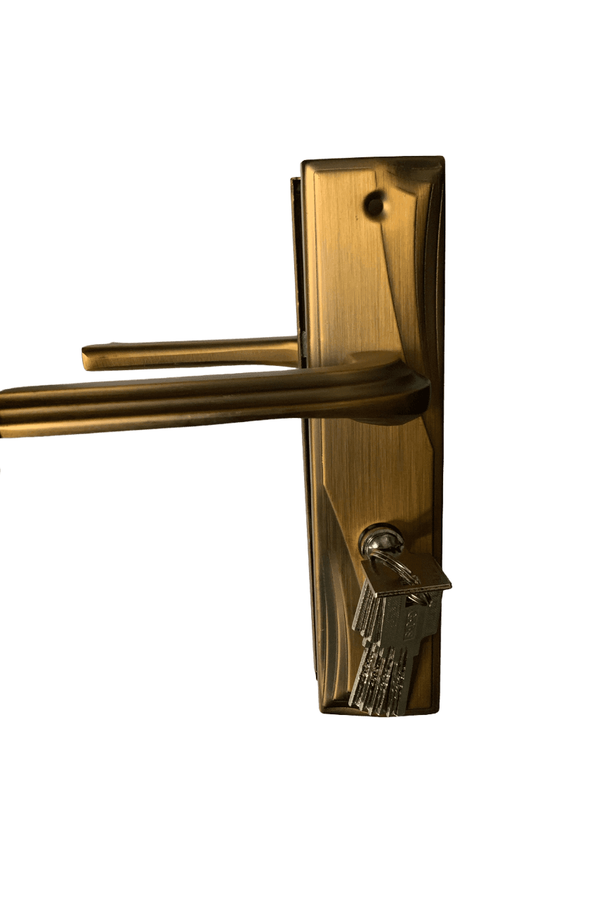 Broasca Yala Mica G.J.S