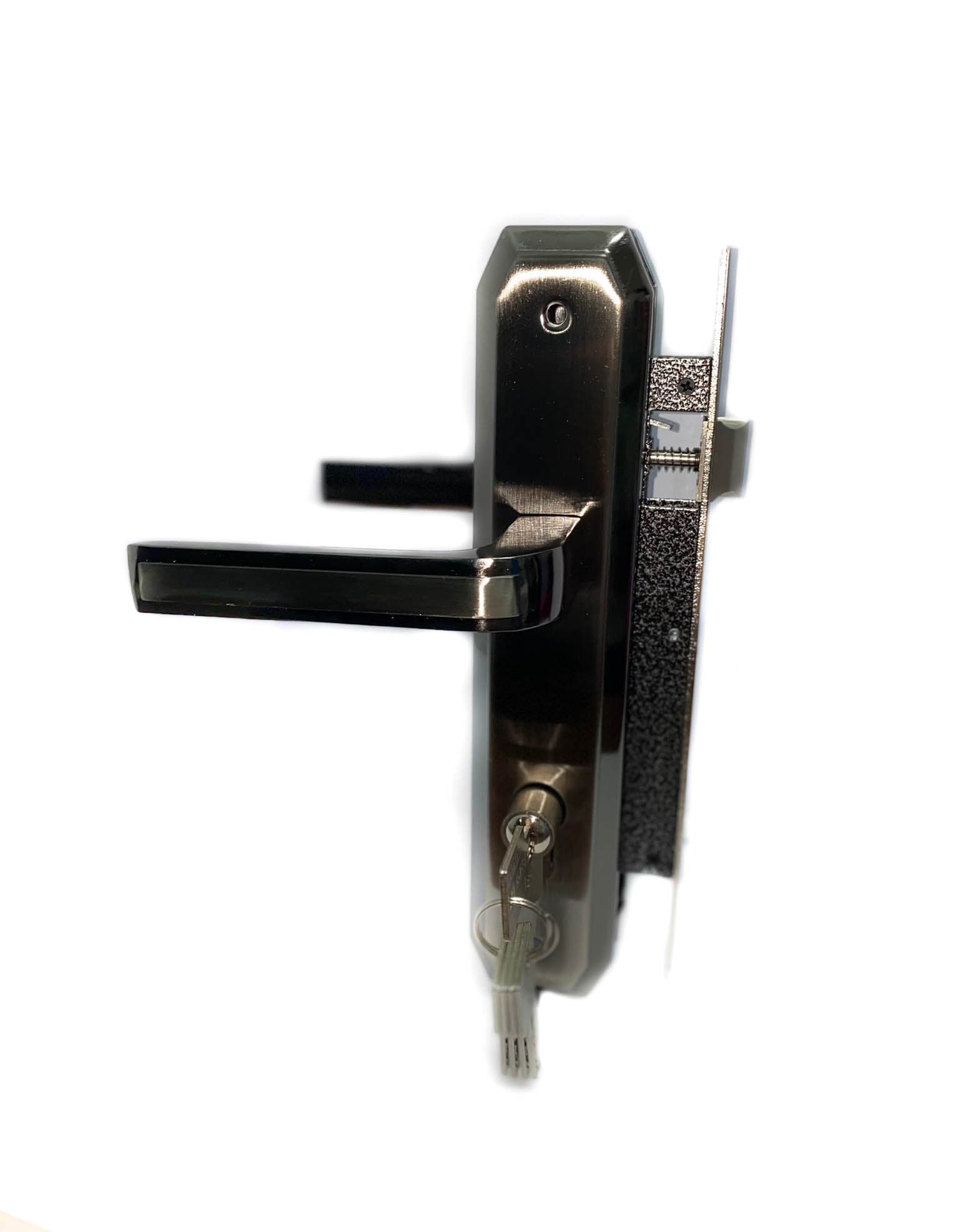 Broasca Yala Mica G.J.S