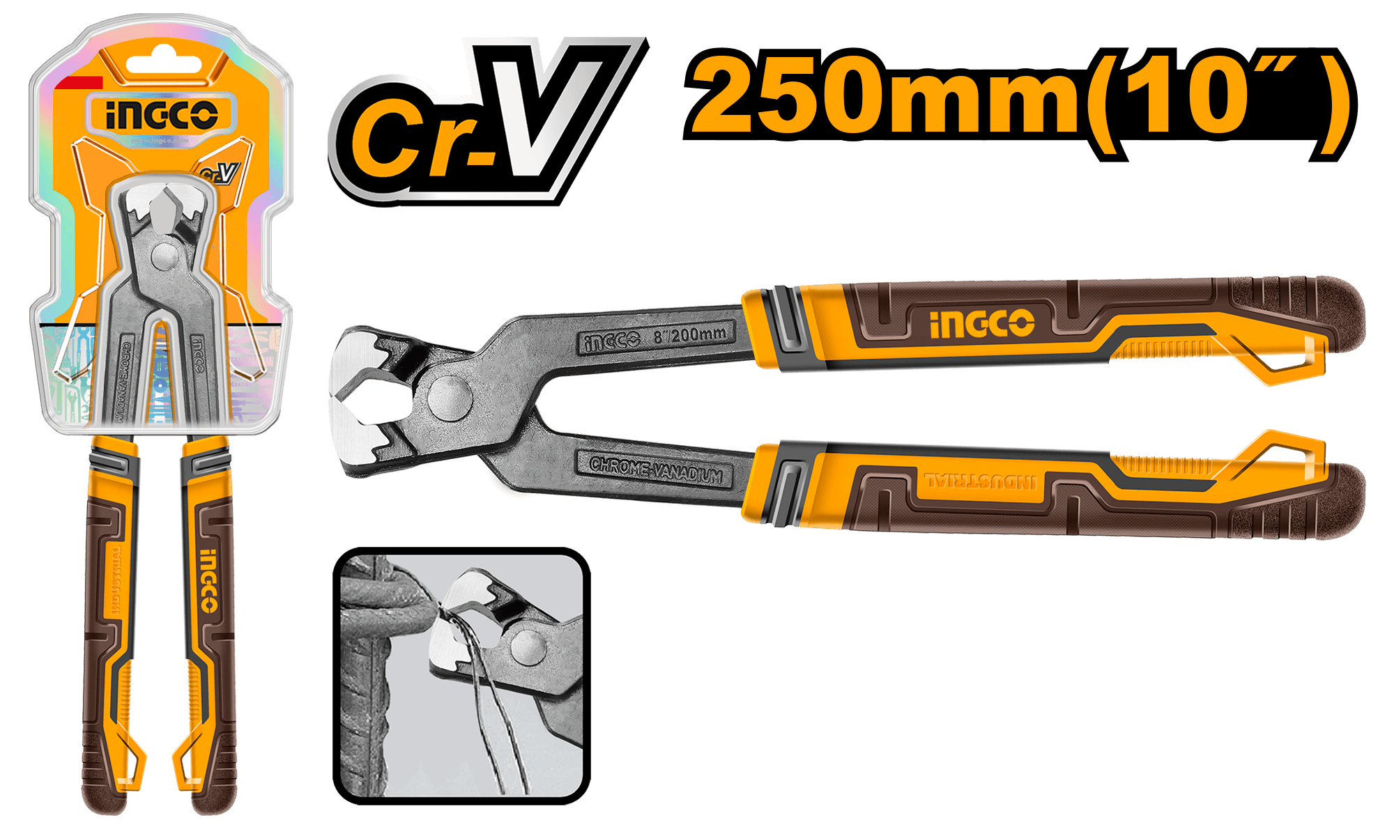 Cleste cu Cap Mic