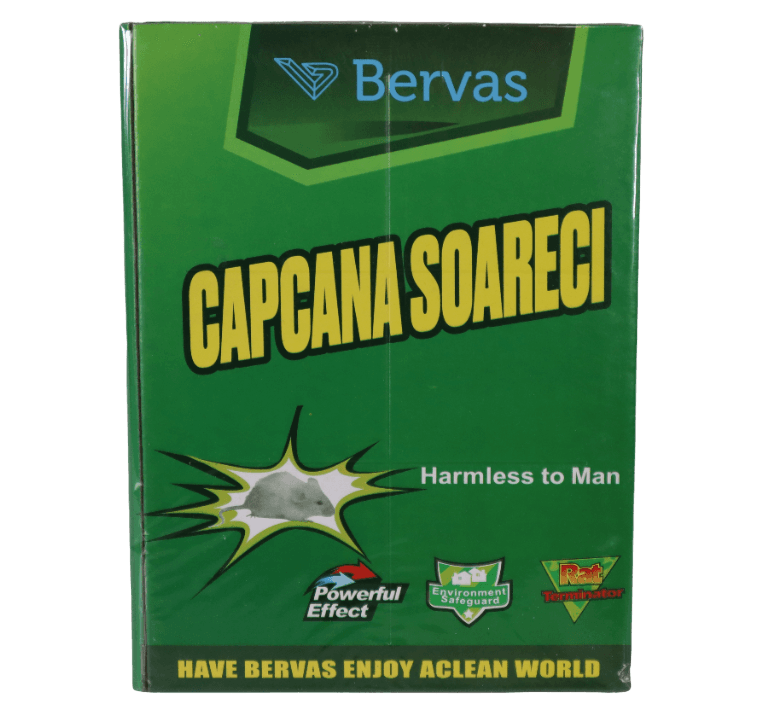  Carton cu Lipici pentru Soareci