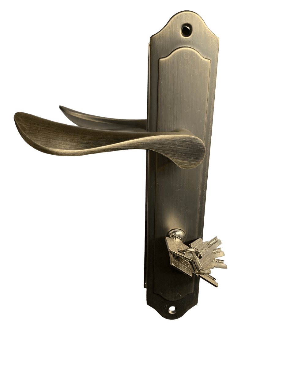 Broasca Yala Mare G.J.S