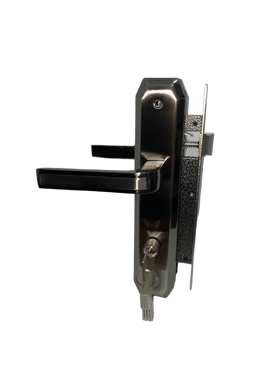 Broasca Yala Mare G.J.S