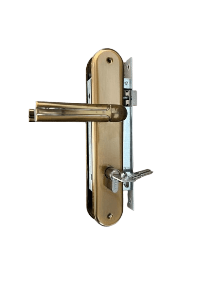 Broasca Yala Mare A01P804 CF