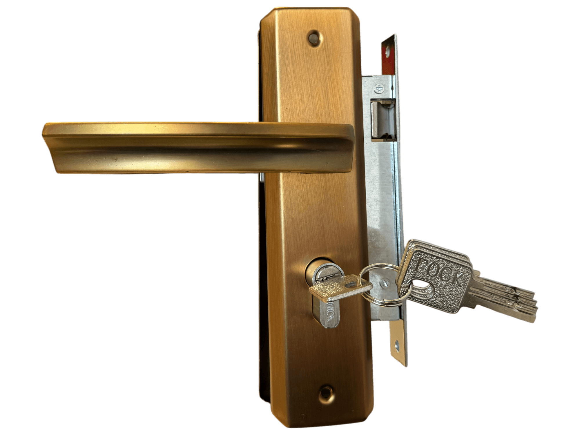 Broasca Yala Mica B100P896 MCF