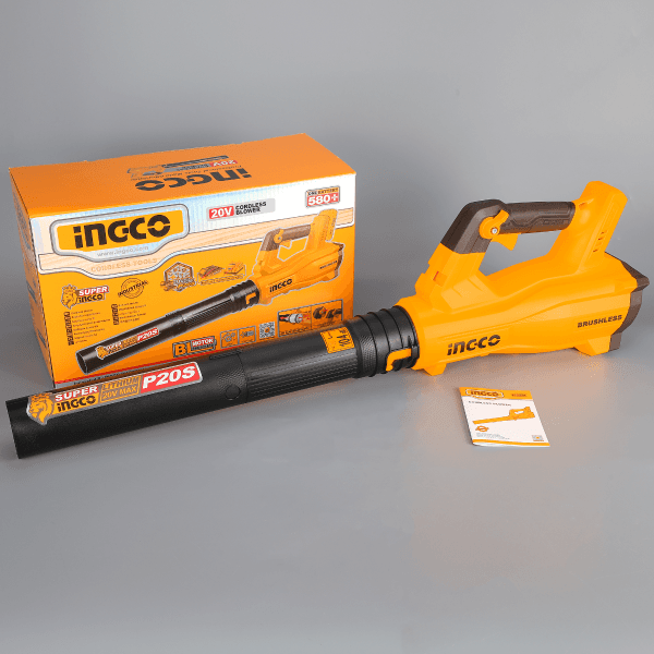 Suflanta de Frunze 20V Fara Baterie si Incarcator image