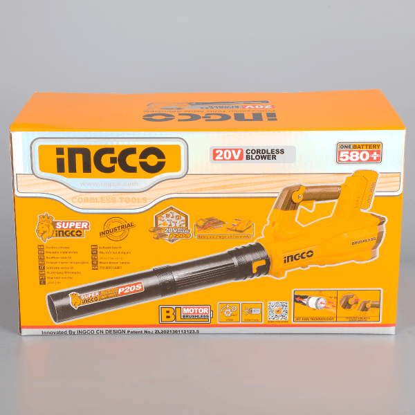 Suflanta de Frunze 20V Fara Baterie si Incarcator image