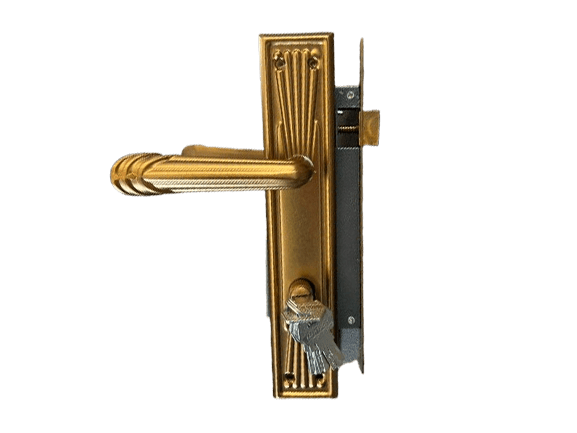 Broasca Yala Mare 85313 MCF image