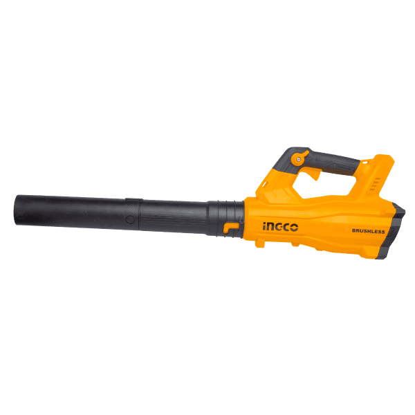 Suflanta de Frunze 20V Fara Baterie si Incarcator image