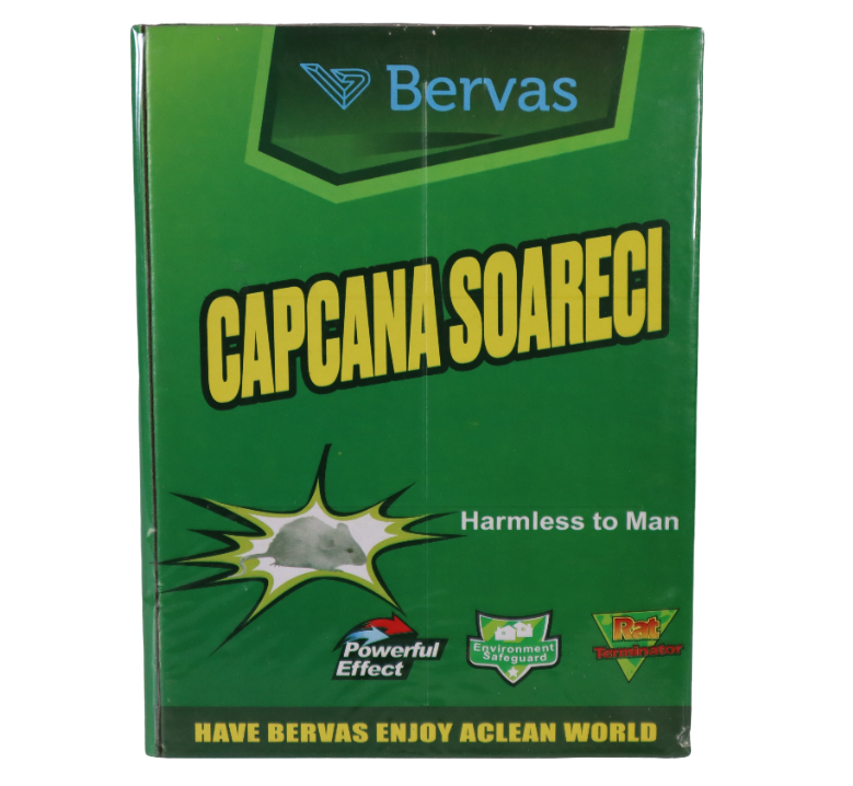 Carton cu Lipici Soareci